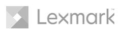 B.S.M. Partner- Lexmark Logo